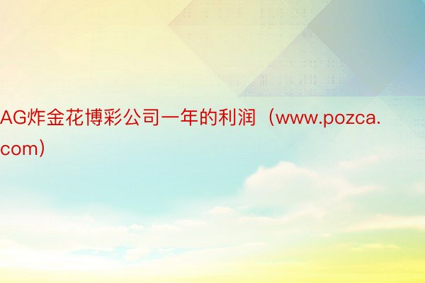 AG炸金花博彩公司一年的利润（www.pozca.com）