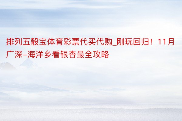 排列五骰宝体育彩票代买代购_刚玩回归！11月广深-海洋乡看银杏最全攻略