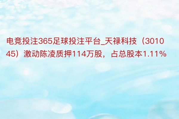 电竞投注365足球投注平台_天禄科技（301045）激动陈凌质押114万股，占总股本1.11%